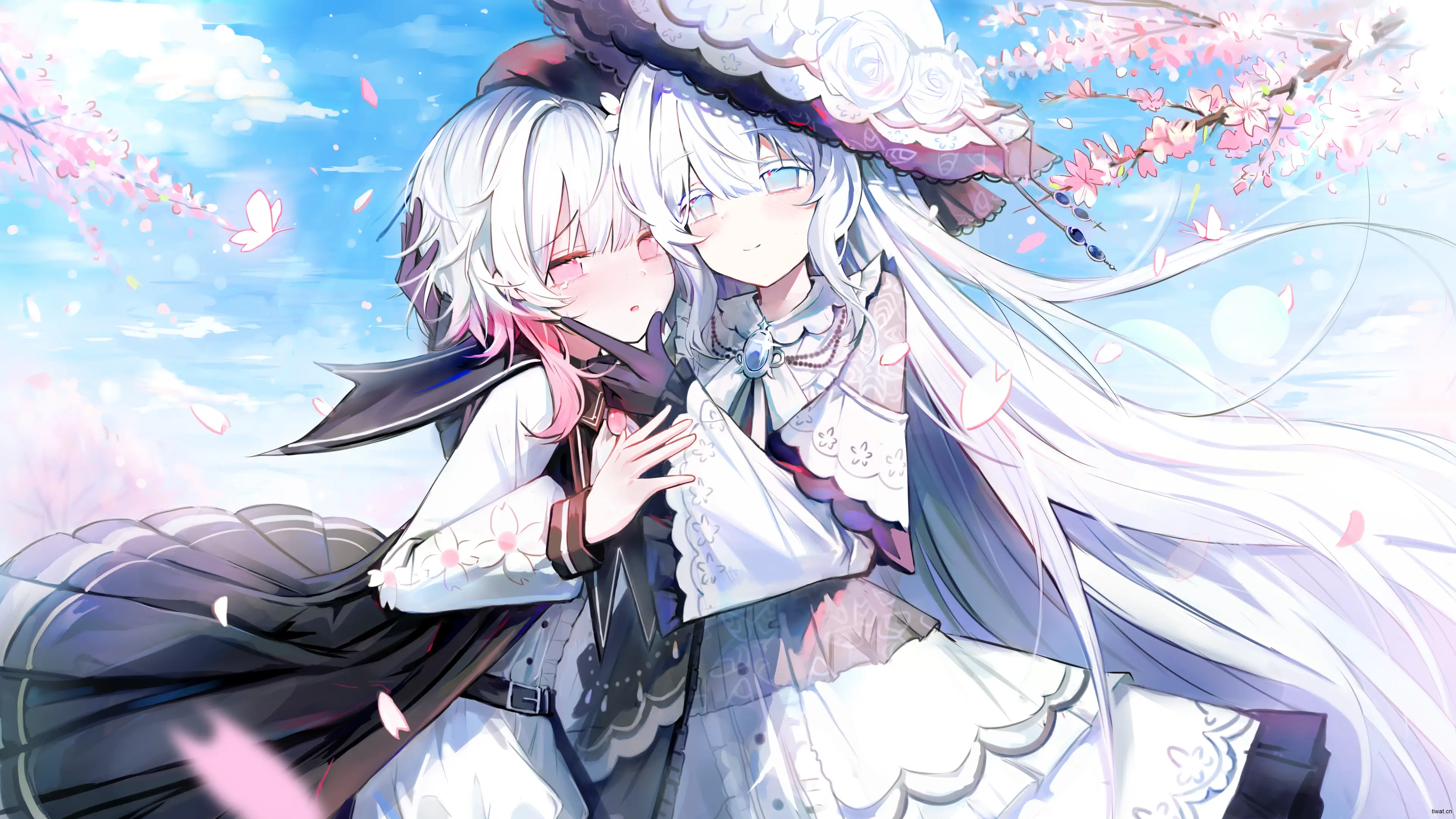 Banner image of the blog